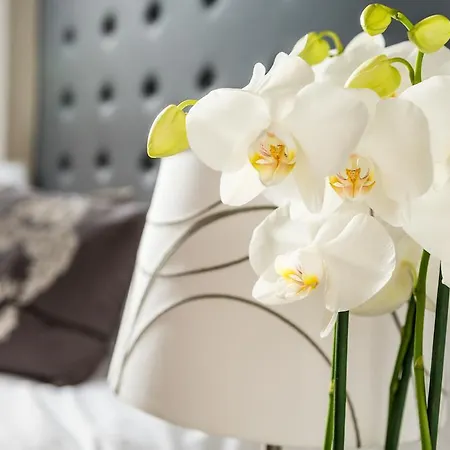 Bed & Breakfast Little Rose 5*